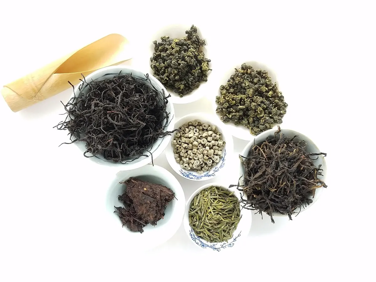 Beginner's Guide to Taiwanese Oolong: Baozhong, Dong Ding, and High-Mountain Styles